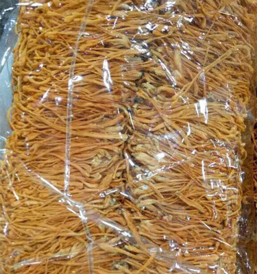 純天然本色 無硫無染蟲草花的品質與食用價值