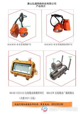 領(lǐng)航未來(lái)，連接世界——XX通訊設(shè)備銷(xiāo)售公司簡(jiǎn)介